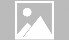 吃瓜横扫娱乐圈小说,娱乐圈的甜蜜风暴